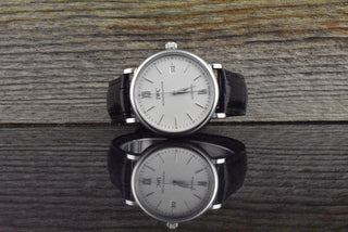 IWC Portofino Automatic IW356501 Stahl