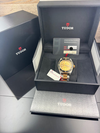 Tudor Black Bay S&G Heritage S&G 79733N-0004 Champagne Sunray-Dial unpoliert B&P 2021